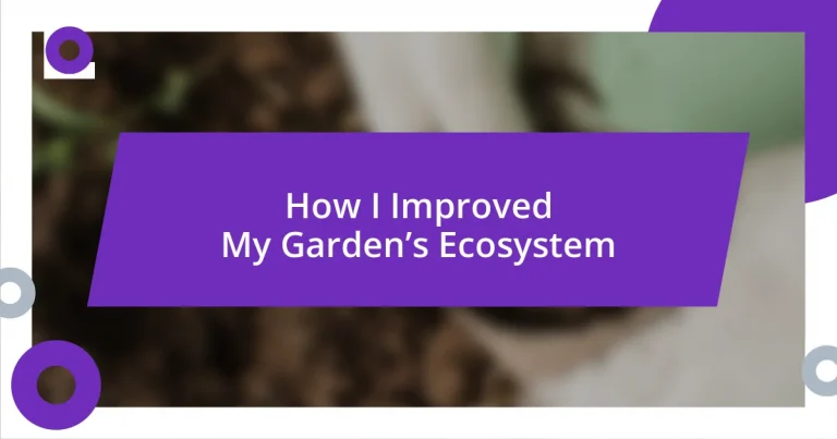 How I Improved My Garden’s Ecosystem