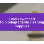 How I switched to biodegradable cleaning supplies