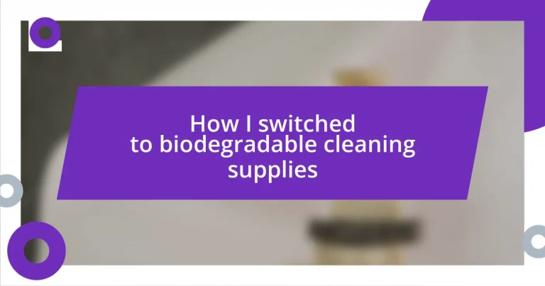 How I switched to biodegradable cleaning supplies