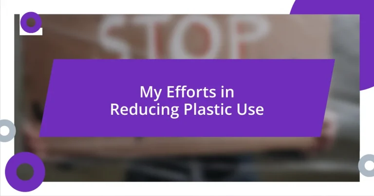 My Efforts in Reducing Plastic Use