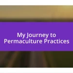 My Journey to Permaculture Practices