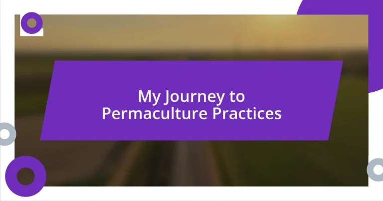 My Journey to Permaculture Practices