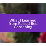 What I Learned from Raised Bed Gardening