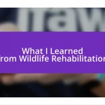 What I Learned from Wildlife Rehabilitation