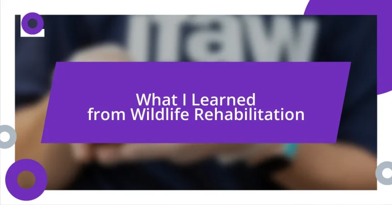 What I Learned from Wildlife Rehabilitation